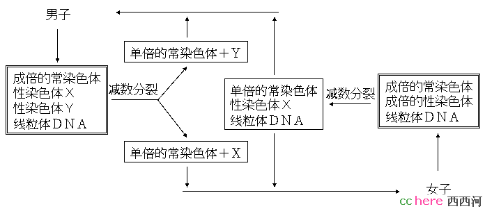 点看全图