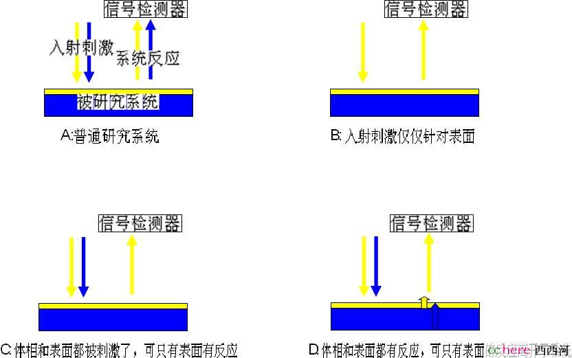 点看全图