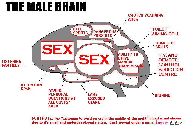 点看全图