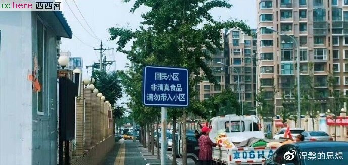 点看全图