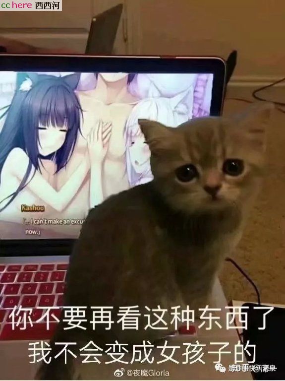 点看全图