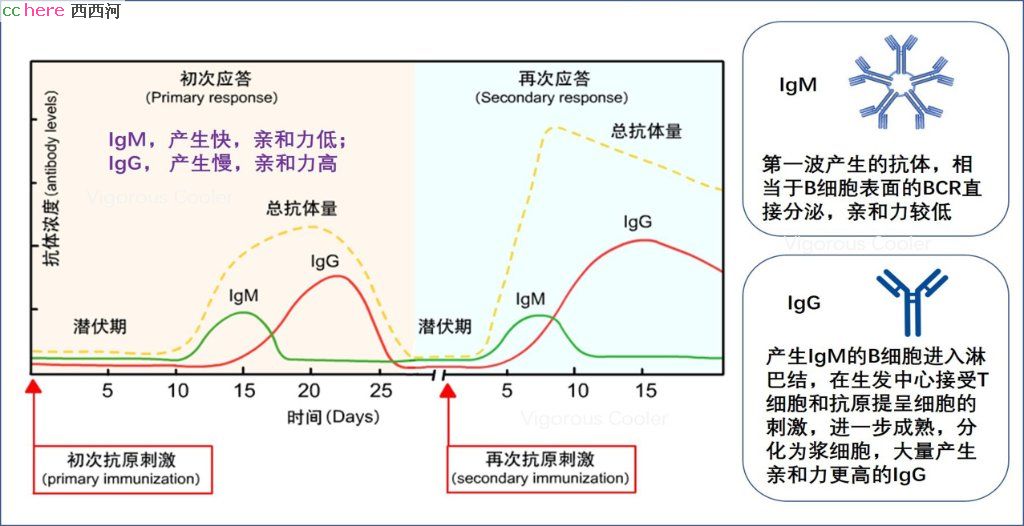 点看全图