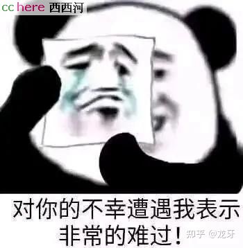 点看全图