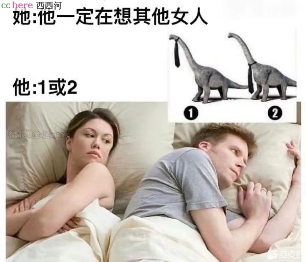 点看全图