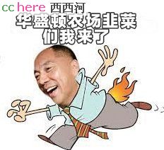 点看全图