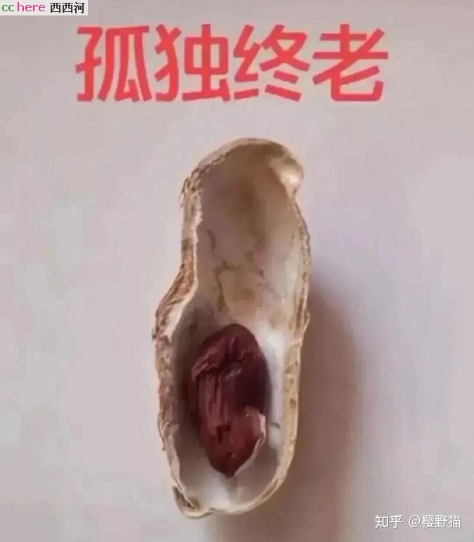 点看全图