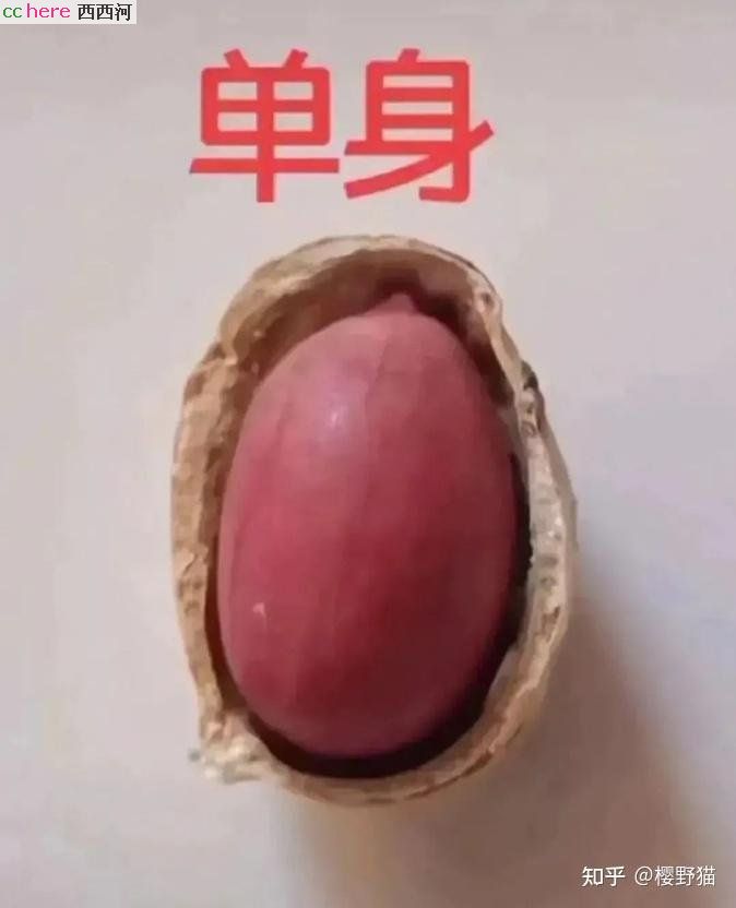 点看全图