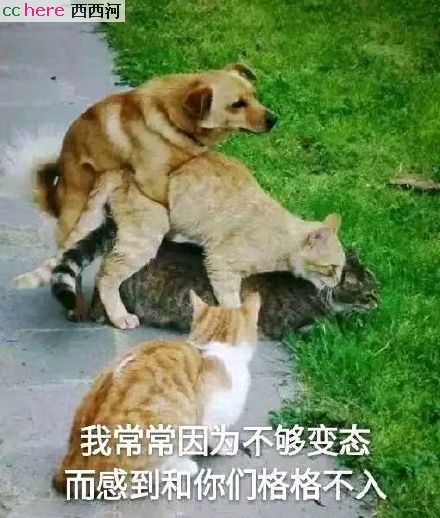 点看全图