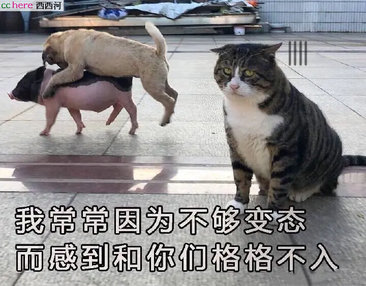 点看全图